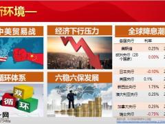 爱心人寿映山红终身寿险产品解析案例演示35页.pptx