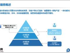 太保蓝本2021庆典版服务概述介绍查询申请20页.pptx