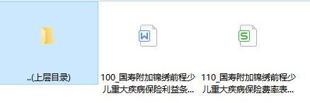 国寿附加锦绣前程少儿重大疾病保险利益条款费率.rar