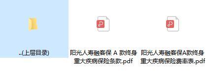 阳光人寿融客保A款终身重大疾病保险条款费率.rar