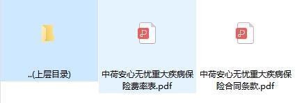 中荷安心无忧重大疾病保险合同条款费率.rar