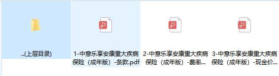 中意乐享安康重大疾病保险成年版条款费率现金价值.rar