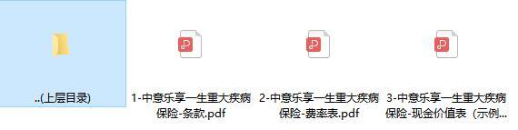 中意乐享一生重大疾病保险条款费率现金价值.rar