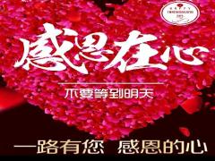 视频晨操感恩有你一路前行手语舞.rar