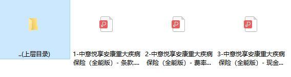 中意悦享安康重大疾病保险全能版条款费率现金价值.rar