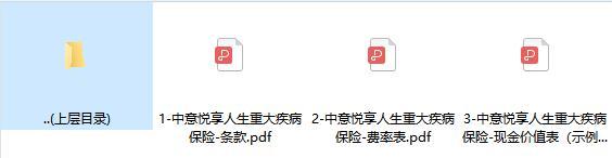 中意悦享人生重大疾病保险条款费率现金价值.rar