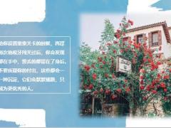 每日鸡汤把握机遇有机会要拼搏努力.zip