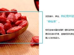 每日健康枸杞的绝配不是菊花而是它补血安神养肝明目14页.ppt