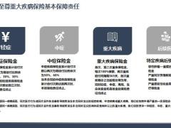 长生福至尊基本保障责任产品特色案例演示69页.pptx
