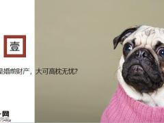 民法典的财富保全与传承新策略41页.pptx