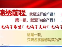国寿锦绣前程销售逻辑及新春策划建议45页.pptx