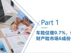 2020年保险行业成绩单21页.pptx