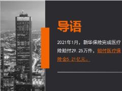 新华保险2021年1月十大医疗险赔案13页.ppt