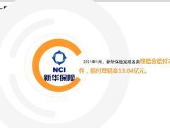 新华保险2021年1月十大赔案13页.ppt