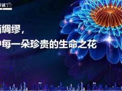 中信保诚惠宝健康保障计划上市宣传片45页.pptx