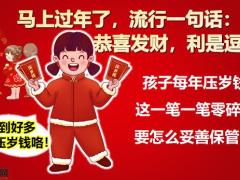 泰康人寿至尊宝钱袋子小账户13页.pptx