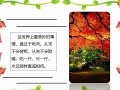 每日快乐早会21年2月24日使用12页.pptx