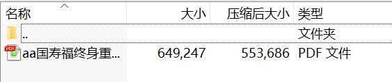 国寿福终身重大疾病保险盛典版A款利益条款.rar