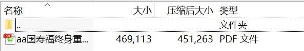 国寿福终身重大疾病保险盛典版B款利益条款.rar
