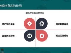 华夏传家宝3.0版开发背景产品介绍投保案例规则31页.pptx