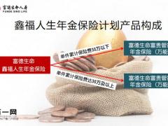 富德生命鑫福人生年金保险投保规则保险责任及附加险34页.pptx