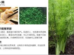 每日健康吃饺子肉馅里只要加点这个吃一顿胜吃药8页.ppt