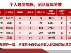 品牌吸引促高效面谈助我成就总监团队41页.pptx