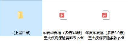 华夏华夏福多倍3.0版重大疾病保险条款费率.rar