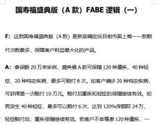 2021国寿福盛典版A款FABE逻辑8页.docx