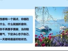 每日鸡汤斩断自己的退路才能更好地赢得出路.zip