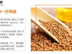 每日健康五谷之王调脾胃效果极好是长寿的秘诀13页.ppt