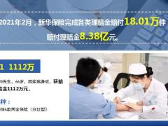 新华保险2021年2月十大赔案12页.ppt