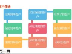 2021保险公司项目操作网点辅导导入49页.pptx