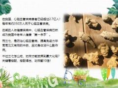 每日健康三七加两味防三高溶血栓功效翻10倍15页.ppt