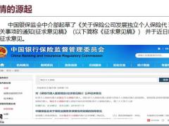 独立个人保险代理人制度征求意见稿深度解读29页.pptx