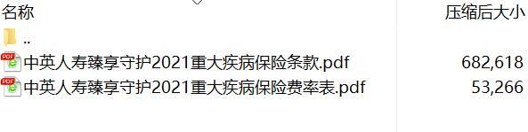 中英人寿臻享守护2021重大疾病保险条款费率.rar
