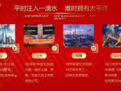 太享金典产品组合计划新年新产品宣讲会21页.pptx