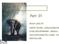 业务员离职保单成了孤儿单怎么办26页.pptx