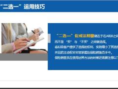 保险营销技巧二选一运用技巧销售案例小结22页.pptx