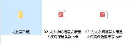 光大永明福慧安康重大疾病保险条款费率.rar