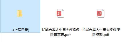 长城吉泰人生重大疾病保险条款费率.rar