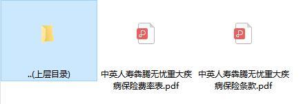 中英人寿犇腾无忧重大疾病保险条款费率.rar