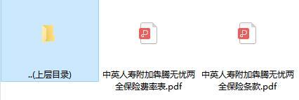 中英人寿附加犇腾无忧两全保险条款费率.rar