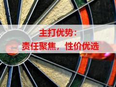 中韩安康悦享终身重大疾病保险产品介绍案例20页.pptx