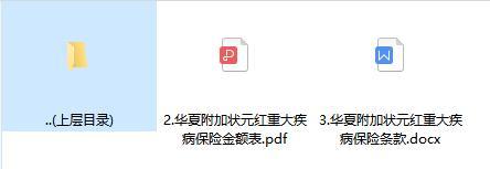 华夏附加状元红重大疾病保险条款费率.rar