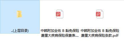 中韩附加全佑B豁免保险费重大疾病保险条款费率.rar