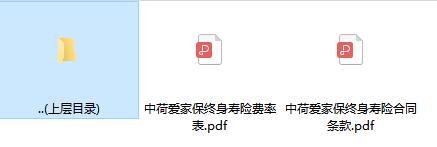 中荷爱家保终身寿险合同条款费率.rar