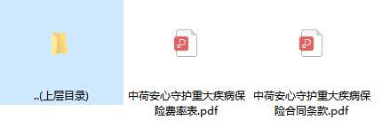 中荷安心守护重大疾病保险合同条款费率.rar