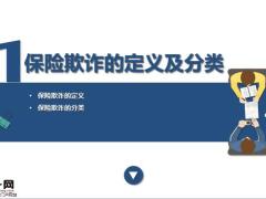 保险欺诈的定义分类流程和重点成因后果29页.pptx