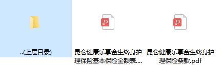 昆仑健康乐享金生终身护理保险条款费率.rar